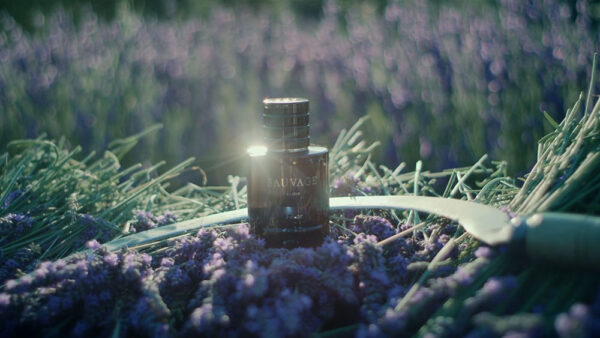 Film-Publicitaire-pour-DIOR-2